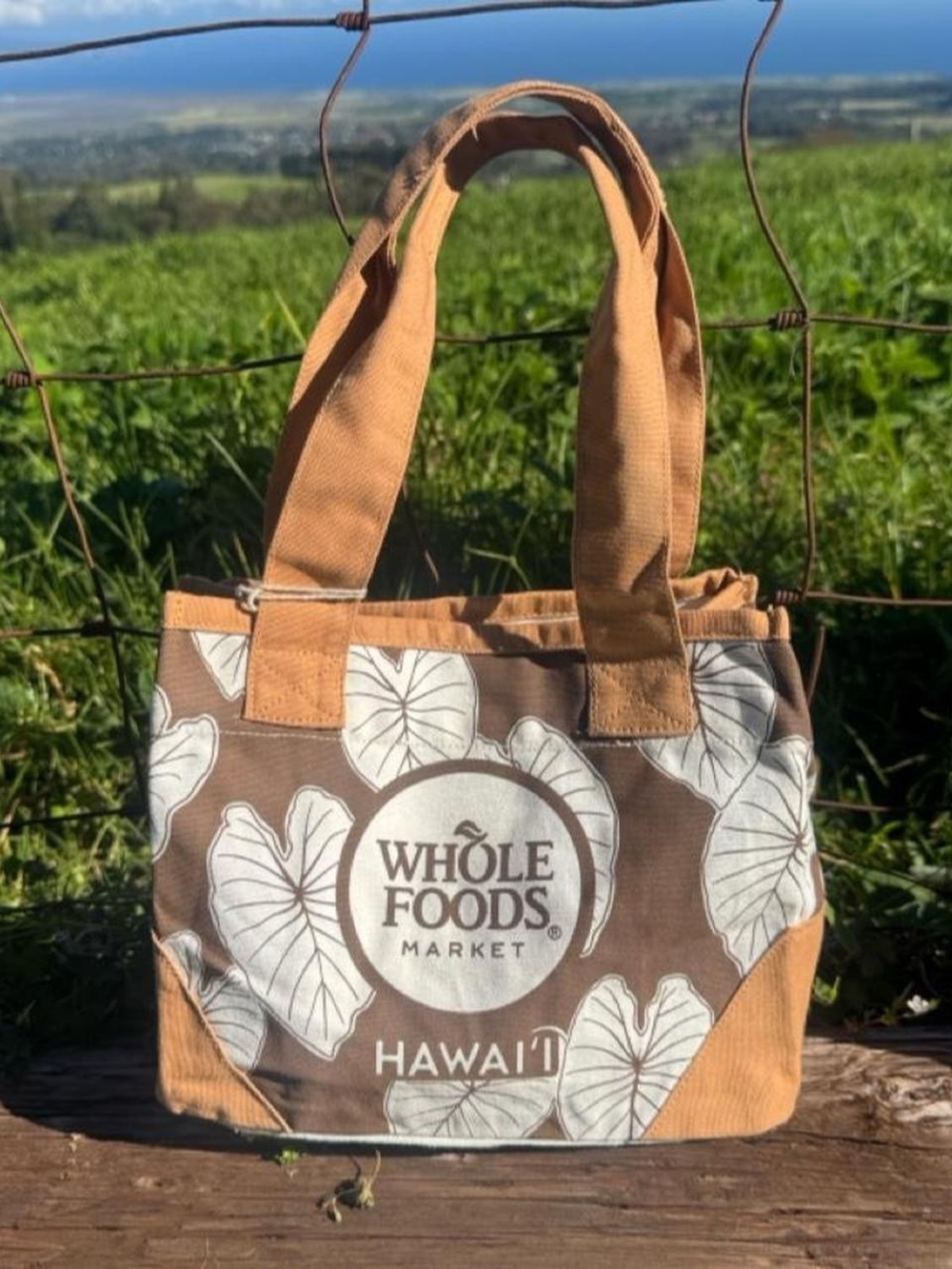 Whole Foods Tag Aloha Company Ye Taro leaf Brown Mini Tote Bag Hawaii Exclusive